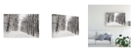 Trademark Global James Mcloughlin A Snowy Walk III Canvas Art - 20" x 25"